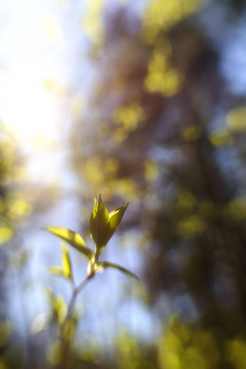 , Наиля Гарифуллина