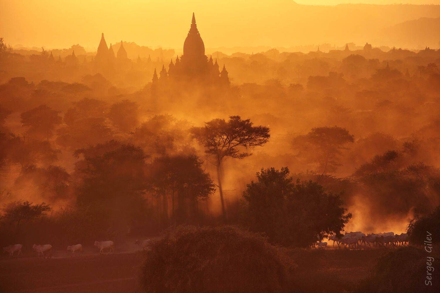 баган, вечер, закат, Сергей Гилев