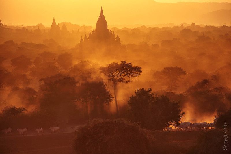 баган, вечер, закат Вечер в далекой стране фото превью