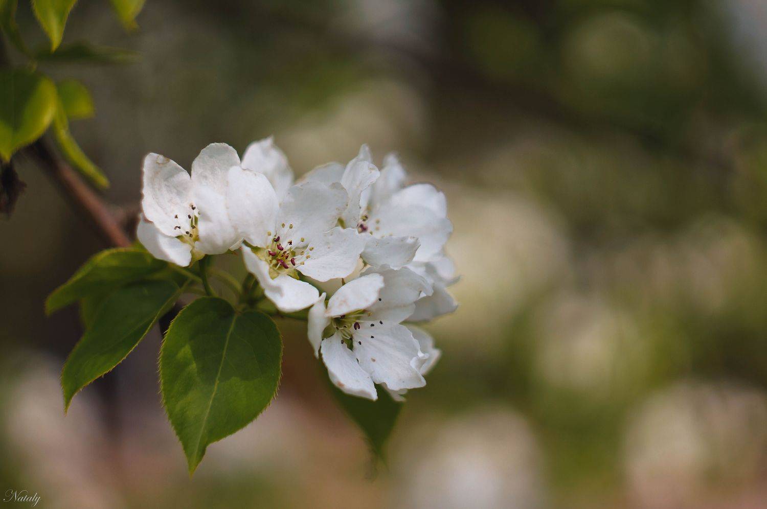 , Екимова Наталья