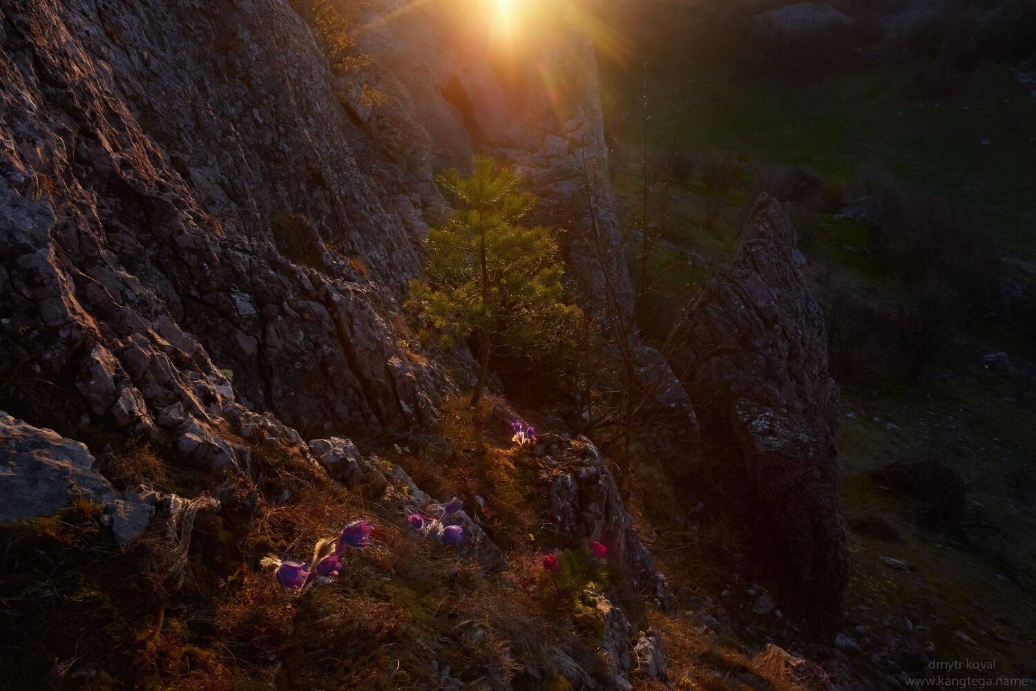 дмитр коваль, гималаи и крым вне треков, пейзаж как магия, Коваль Дмитр