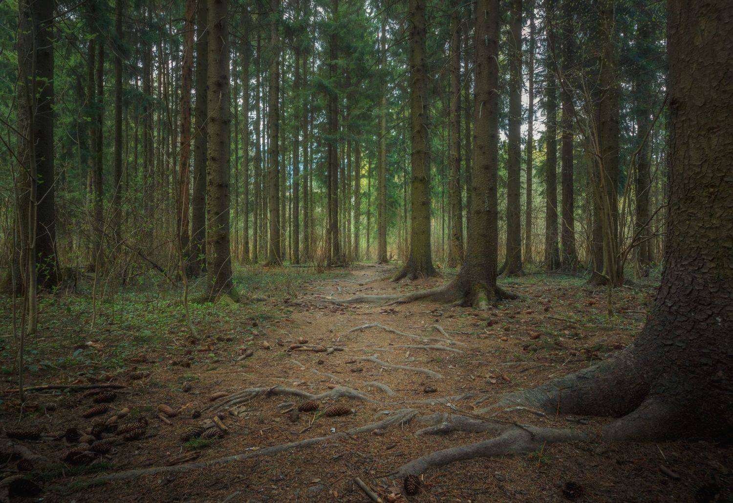 , Котов Андрей