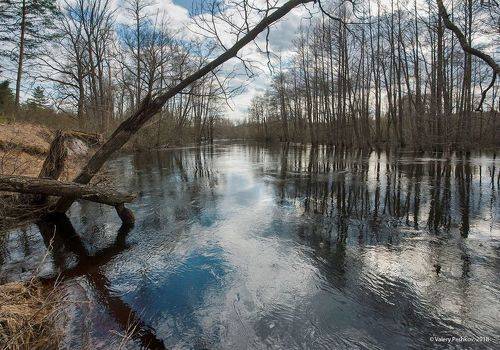 Вешние воды