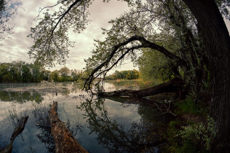 Аура фото превью
