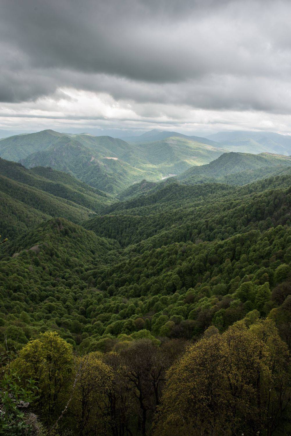 , Дмитрий Величко