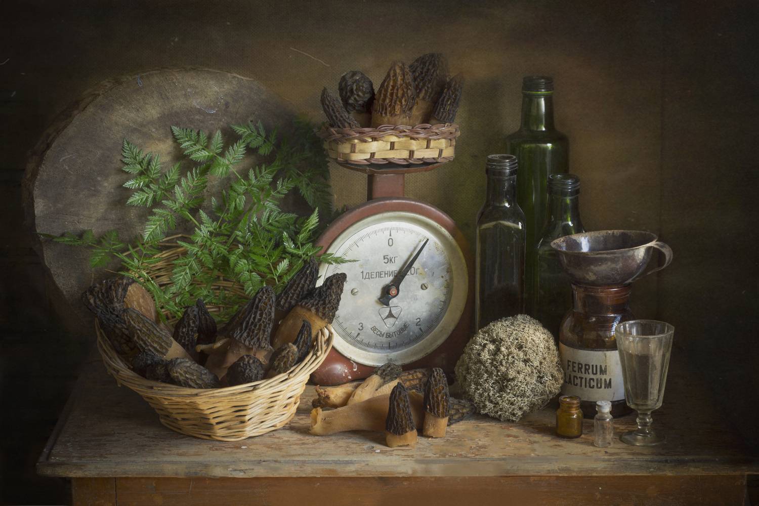 грибы, весна, лес, сморчки, Зимина Лионелла