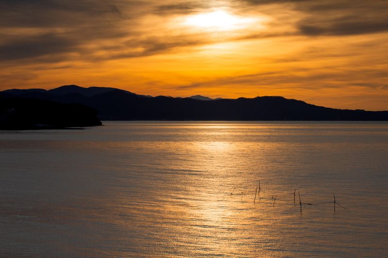 Черное  фото превью