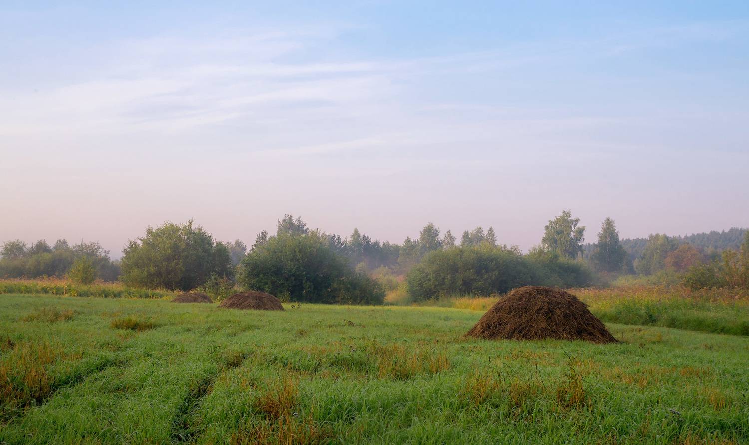 zuiko 28/2 sony nex5n, Дмитрий Цыпляев