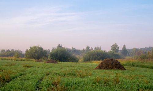 По утру роса