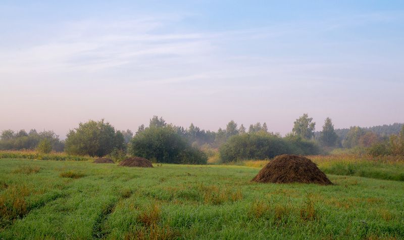 По утру роса фото превью