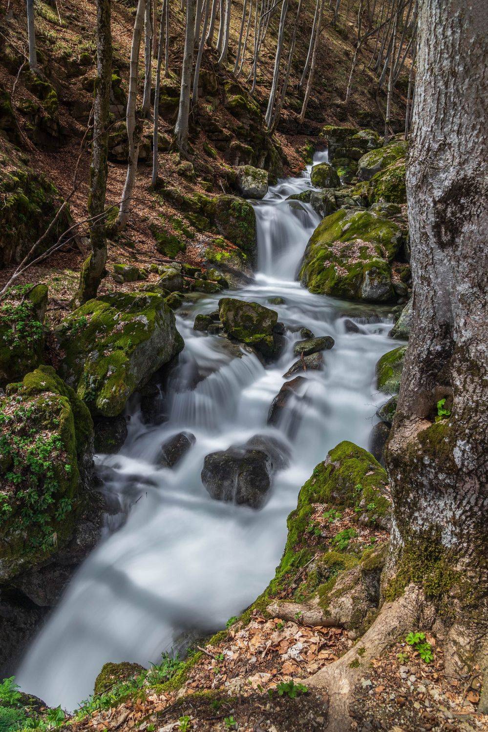 river nature landscapes hiking autumn , viktor demidov