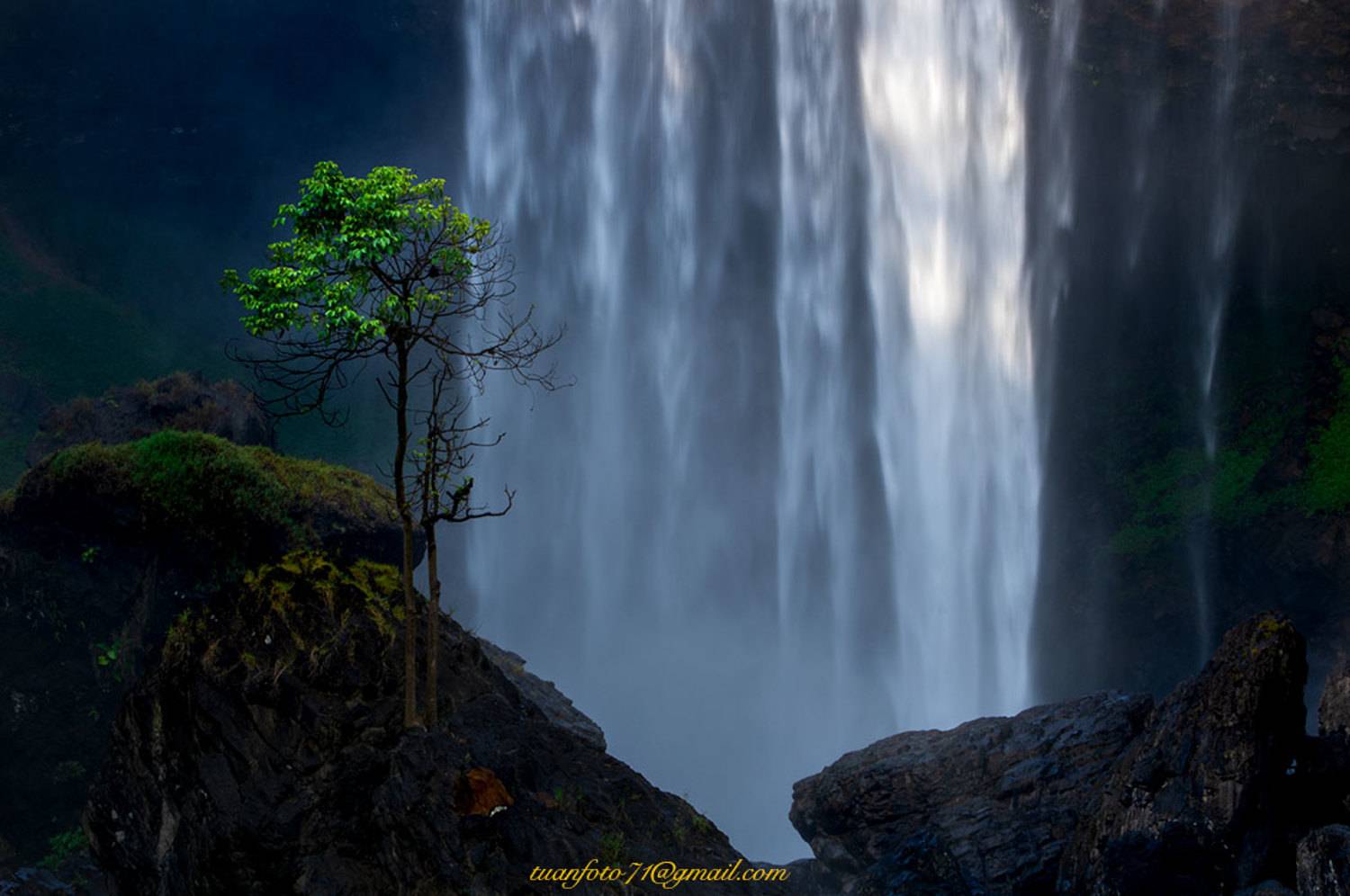 , Nguyễn Anh Tuấn