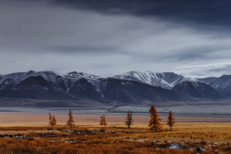 горы, горный алтай, чуйский тракт, пейзаж, алтай, дорога, россия Виды чуйского тракта фото превью