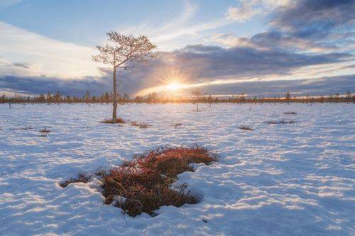 Пришла весна