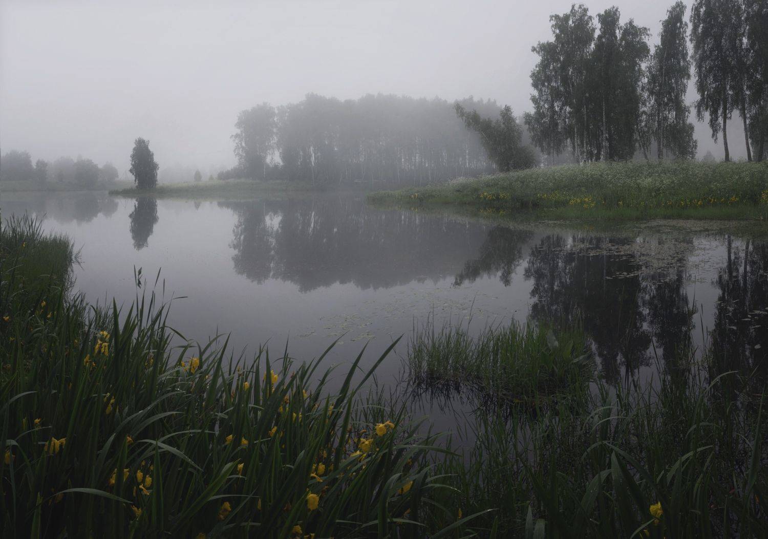 , Баранов Олег