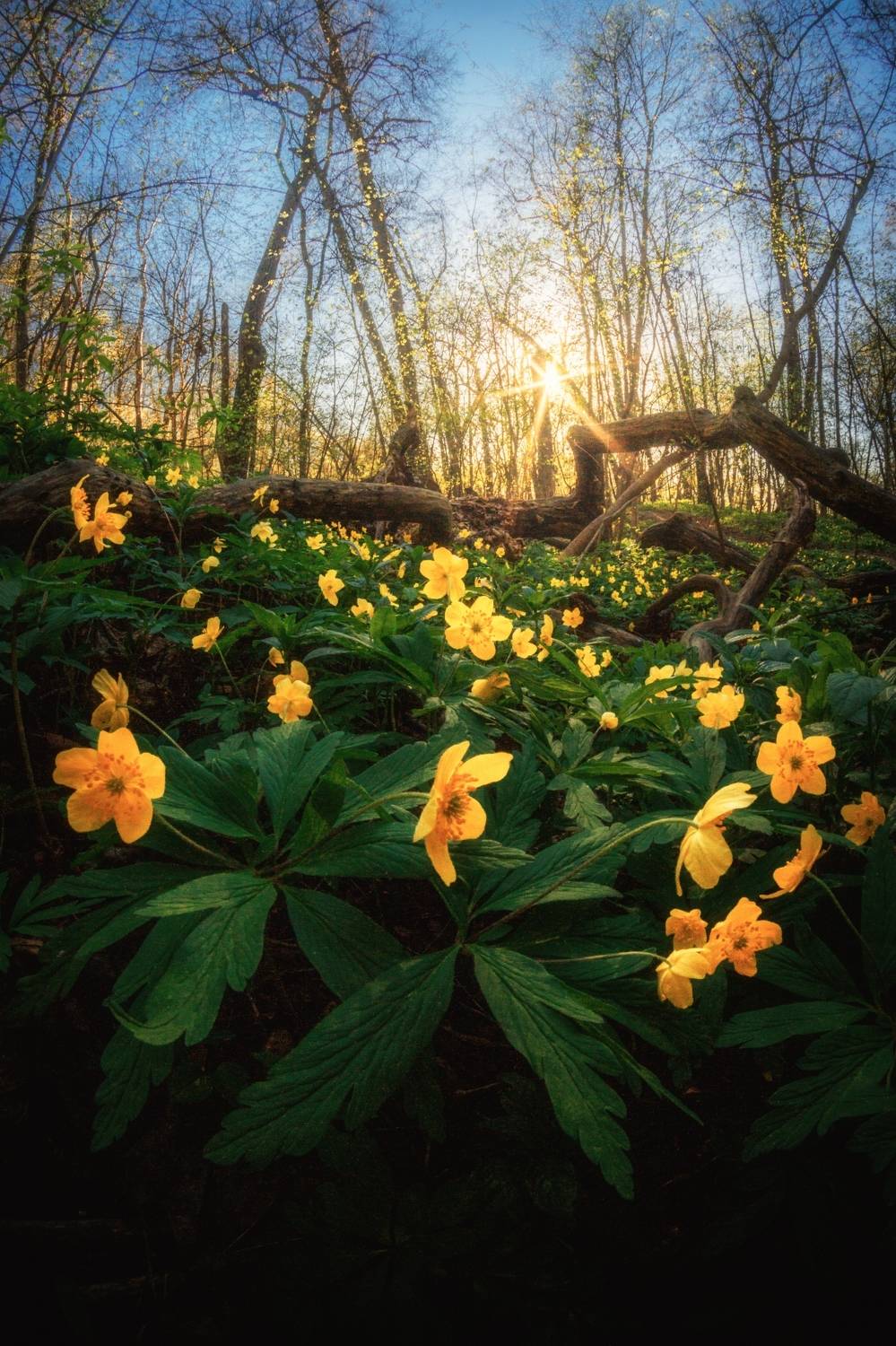 , Котов Андрей