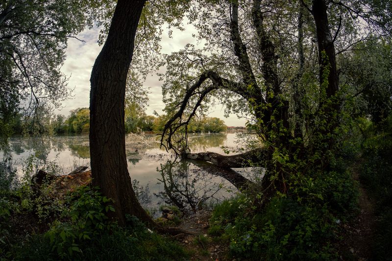 Заводь фото превью