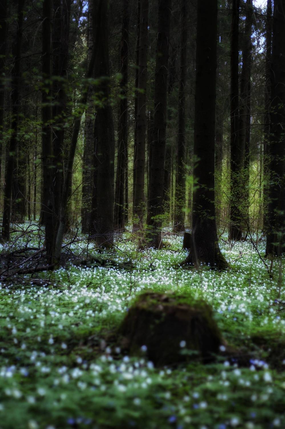 , Евгений Белов