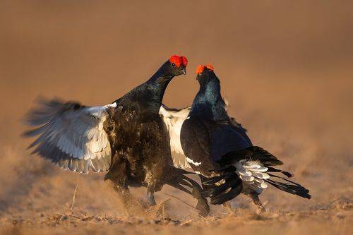 Утро выдалось жарким