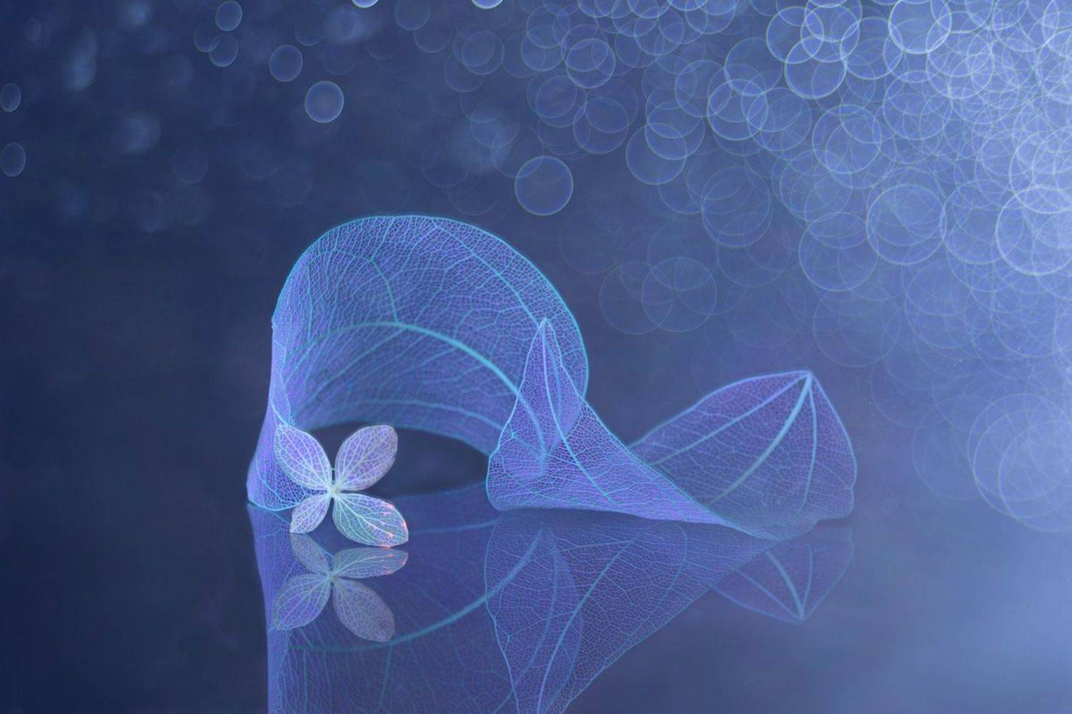 close-up, Игорь Копцев