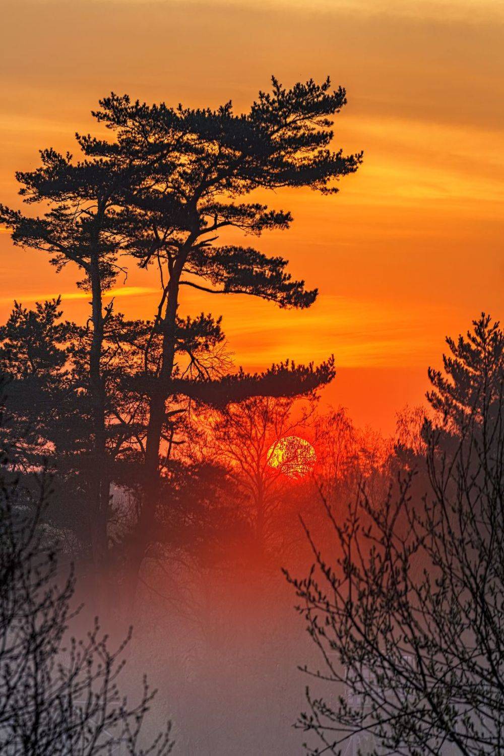 , Евгений Ерохин