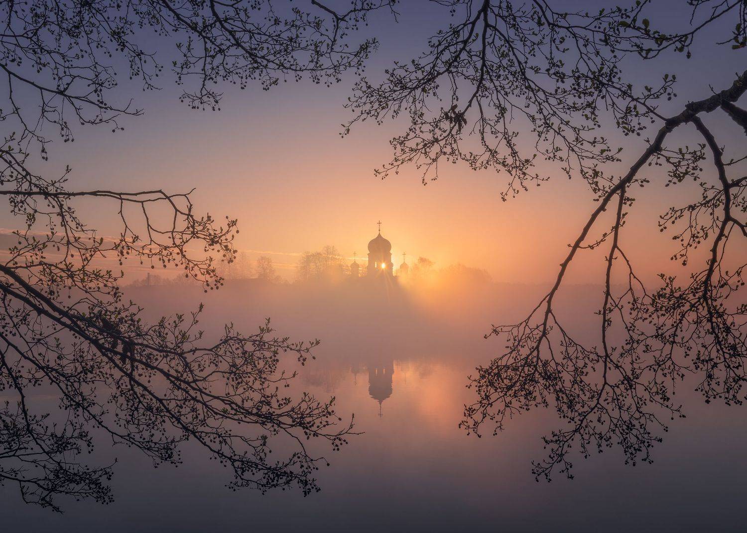 , Политова Анна