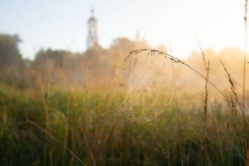 Летнее настроение