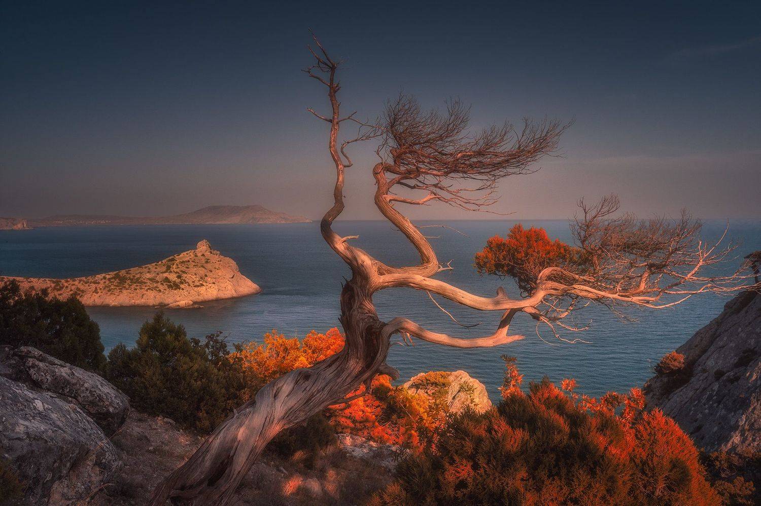 , Костенко Александр