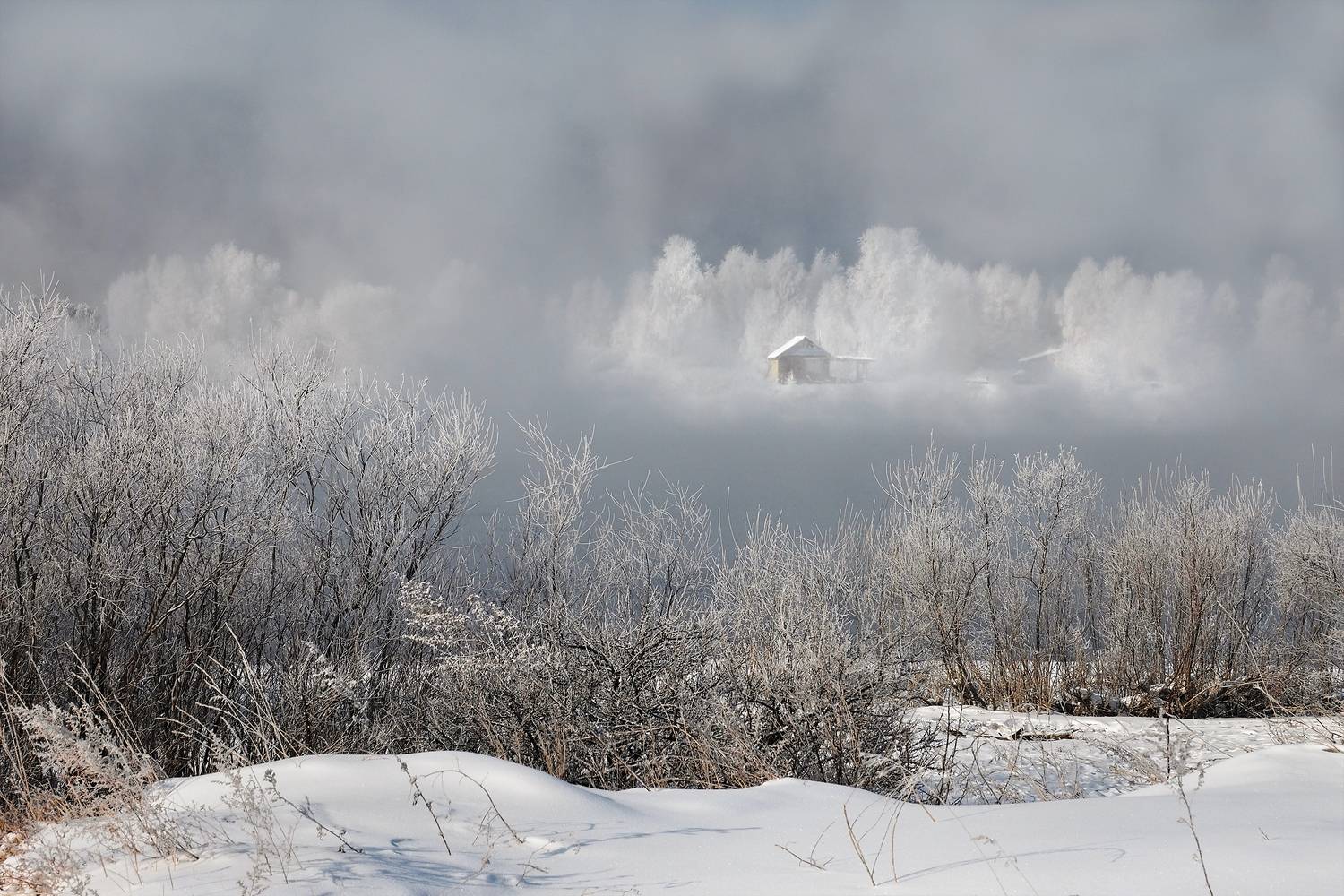 , Александр Попов
