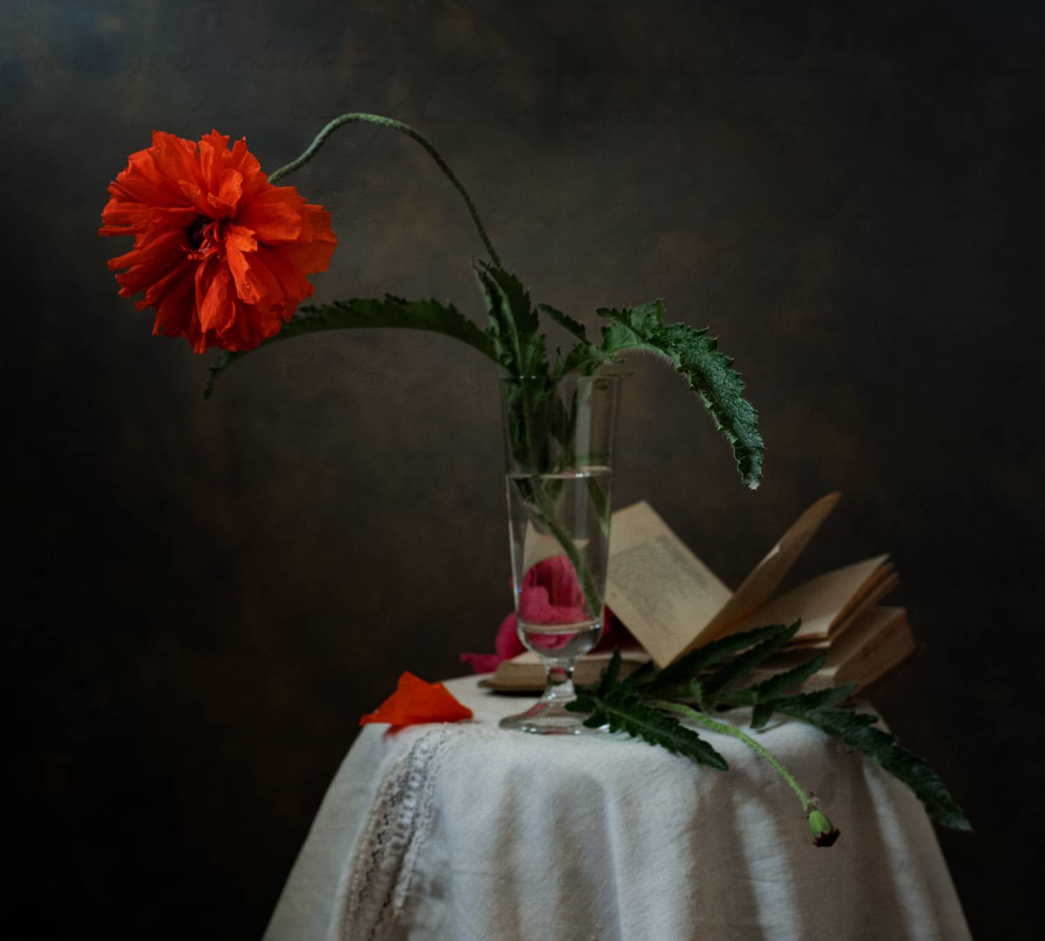 натюрморт, цветы, мак, Оля