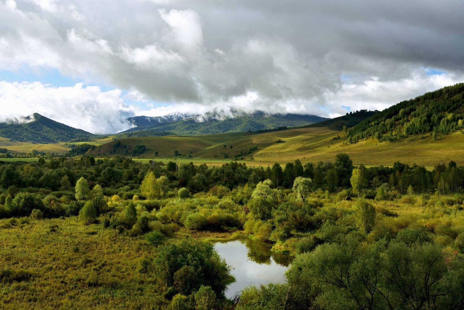 алтайский край,, Байдуков Александр