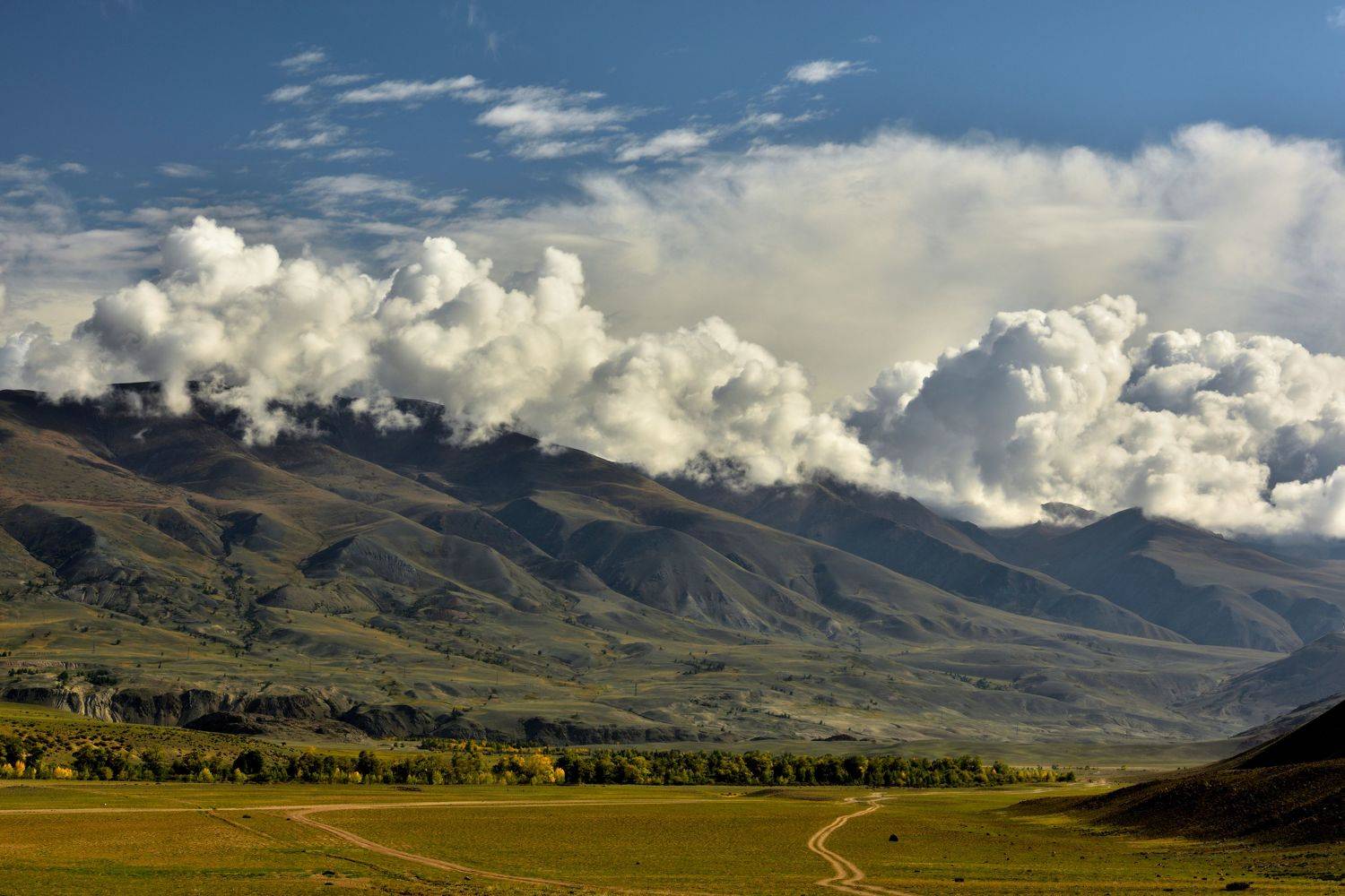 республика алтай,, Байдуков Александр