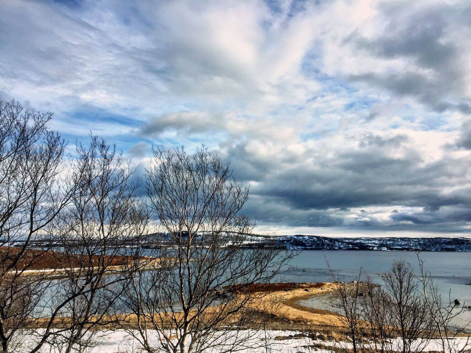 , Александр Шандов