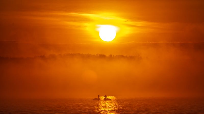 Утро на Ильтебановском водохранилище фото превью