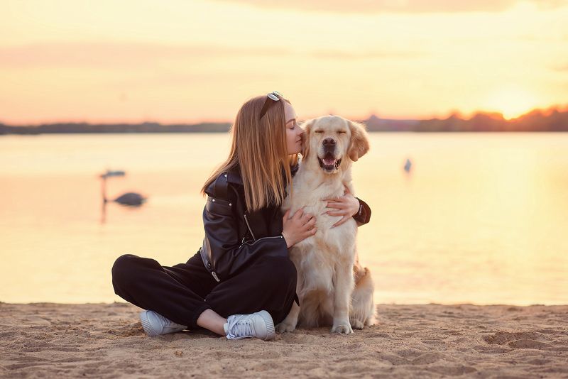 Дружба на закате фото превью