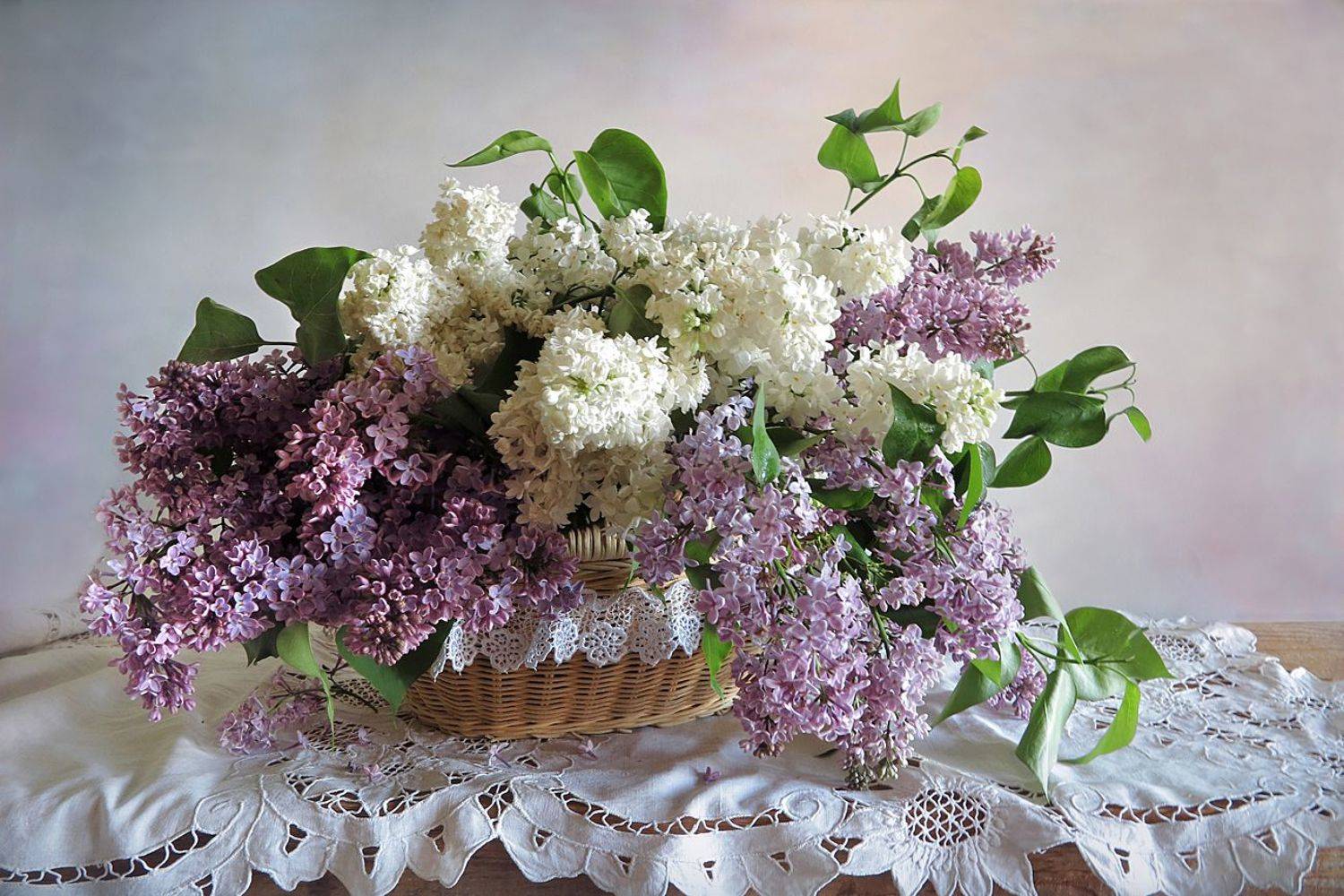 натюрморт, весна,сирень,корзина,салфетка, Алла Шевченко