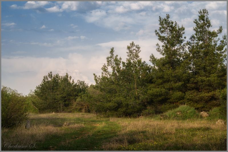 фото превью