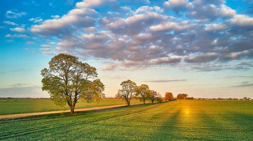 Рассветное. Апрельская дорога