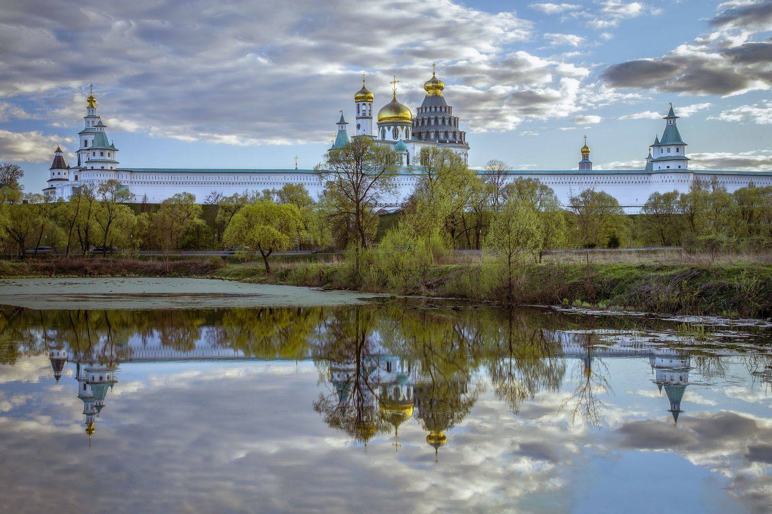 Истра, Елена Гусева