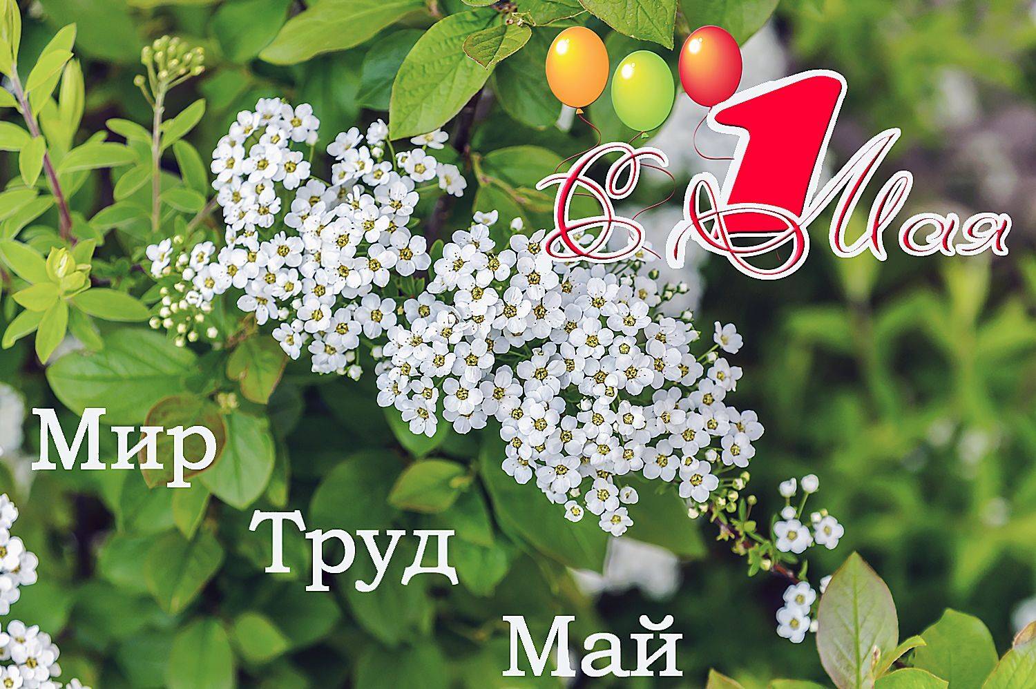 ,  Валерий