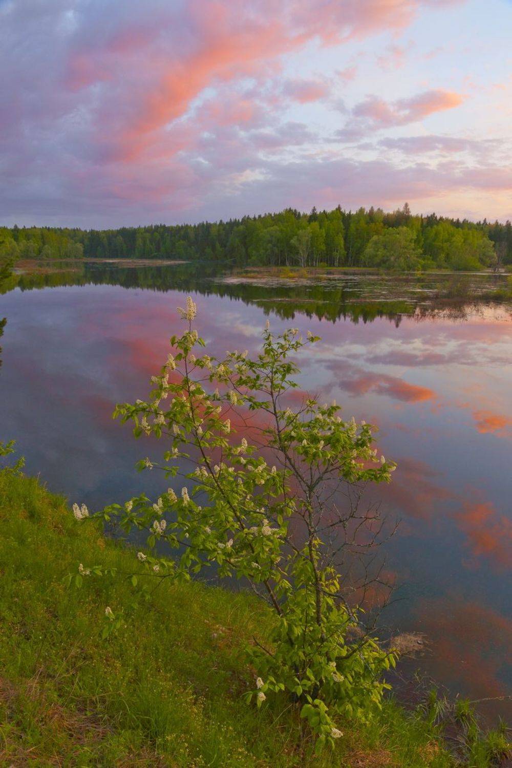 Фототуры с Владимиром Рябковым, #topnature #russpasibo #magic_shots #lovelyRussia #sunset_vision #exclusive_sky  #exclusive_shots #loves_russia2 #photoarena_nature #nature_sultans #nature_perfection #rsa_sky #rsa_sunset #photorussia #rsa_naturepics #sunse, Владимир Рябков