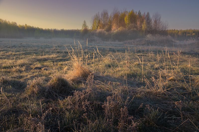 кострома, костромская область, пейзаж Морозный рассвет фото превью
