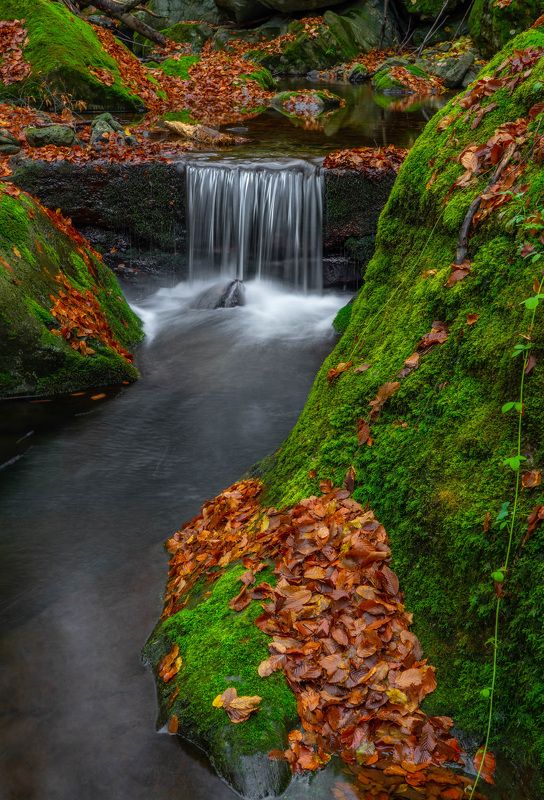 river waterfall nature landscapes  the colors of autumn  фото превью