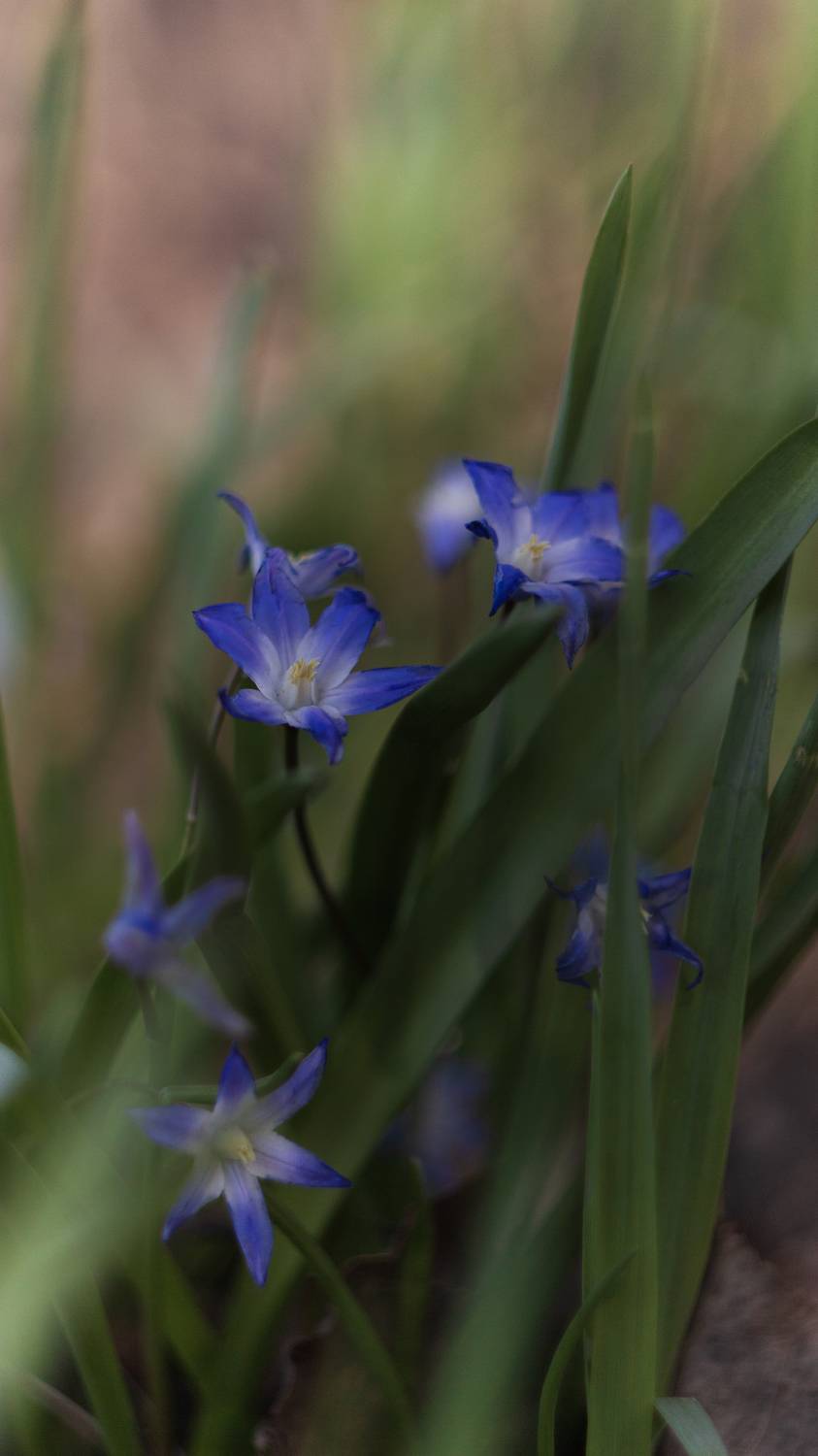 , Мария Обидина