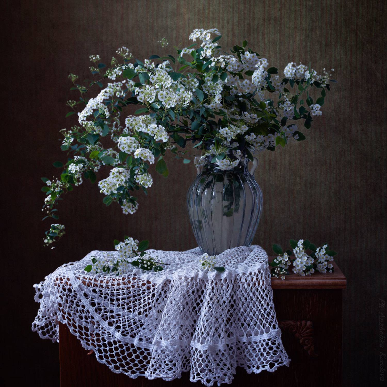 , Анжелика Королева