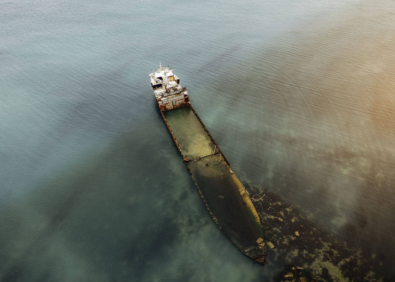 , Дмитрий Величко