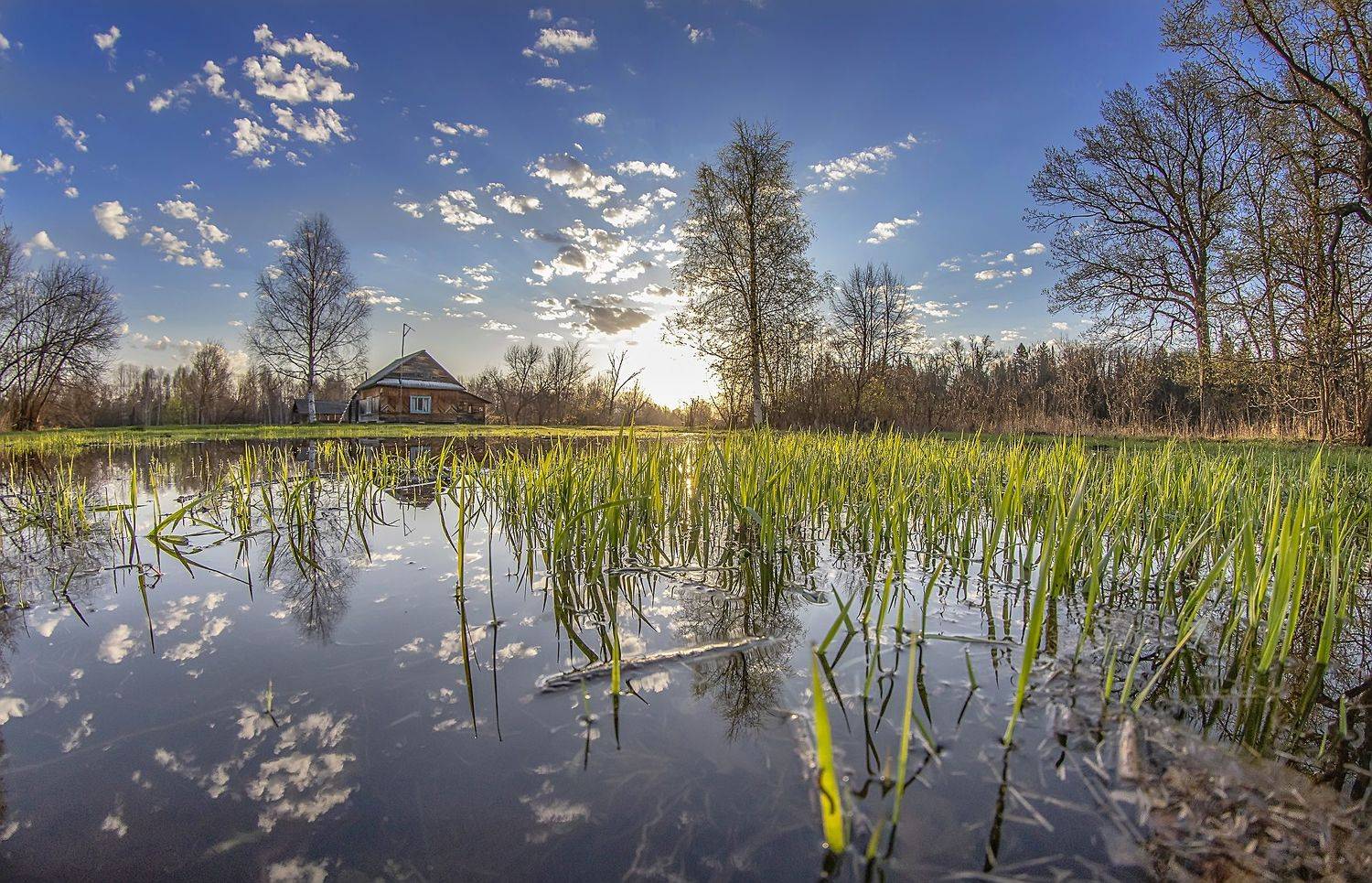 вода, весна, половодье, заповедник, Широких Александр