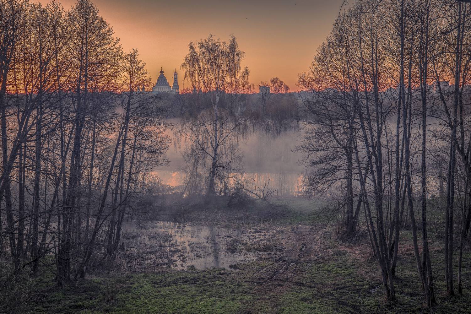 Истра, Елена Гусева