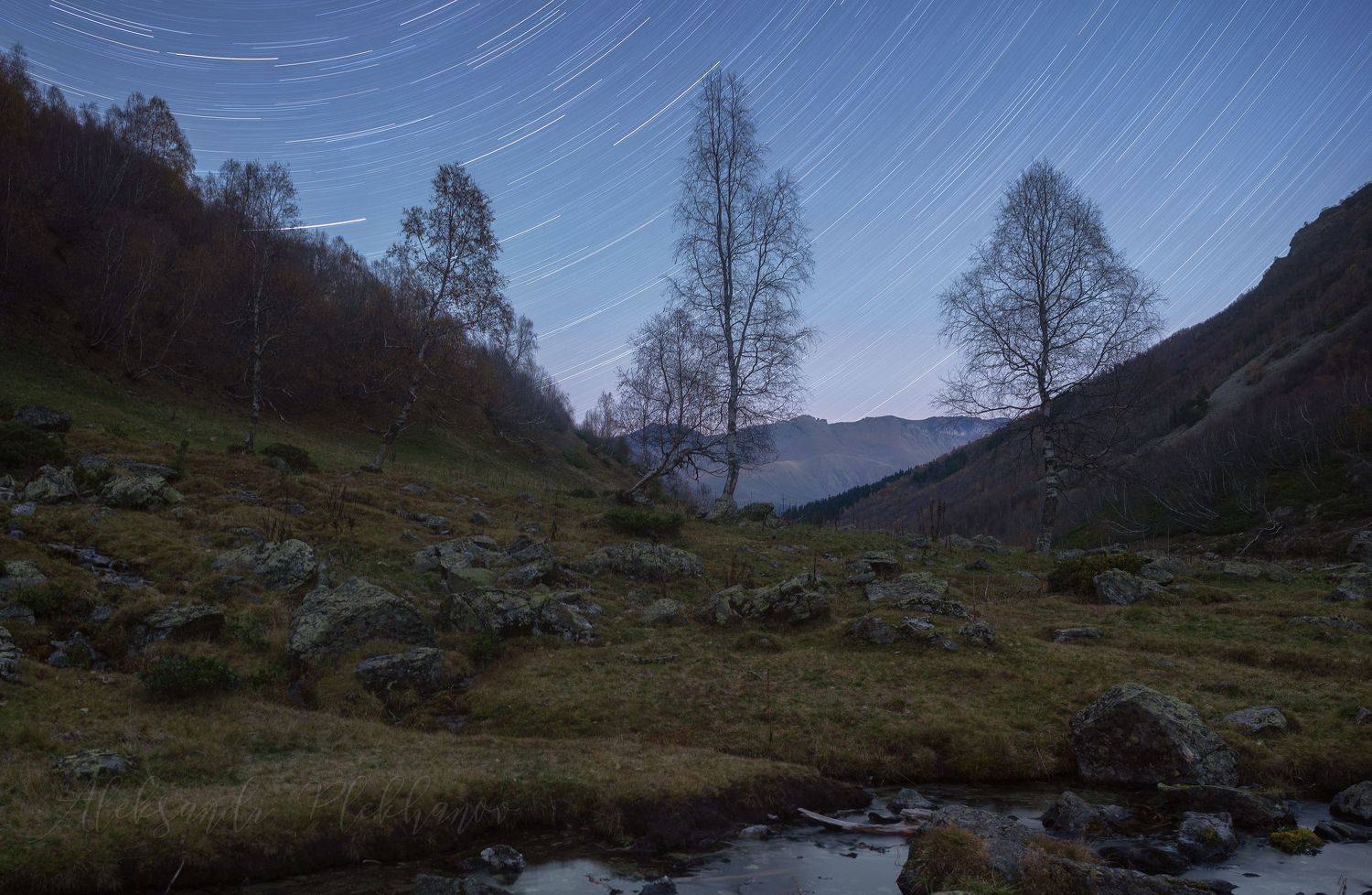 , Плеханов Александр