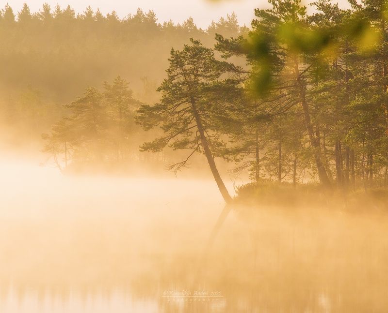 Молочные берега... фото превью